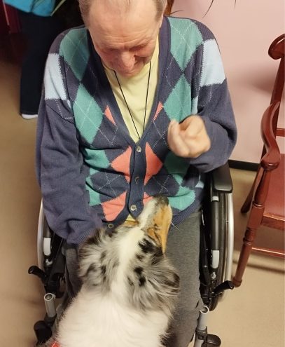 ehpadhomearmenien_animation (3)